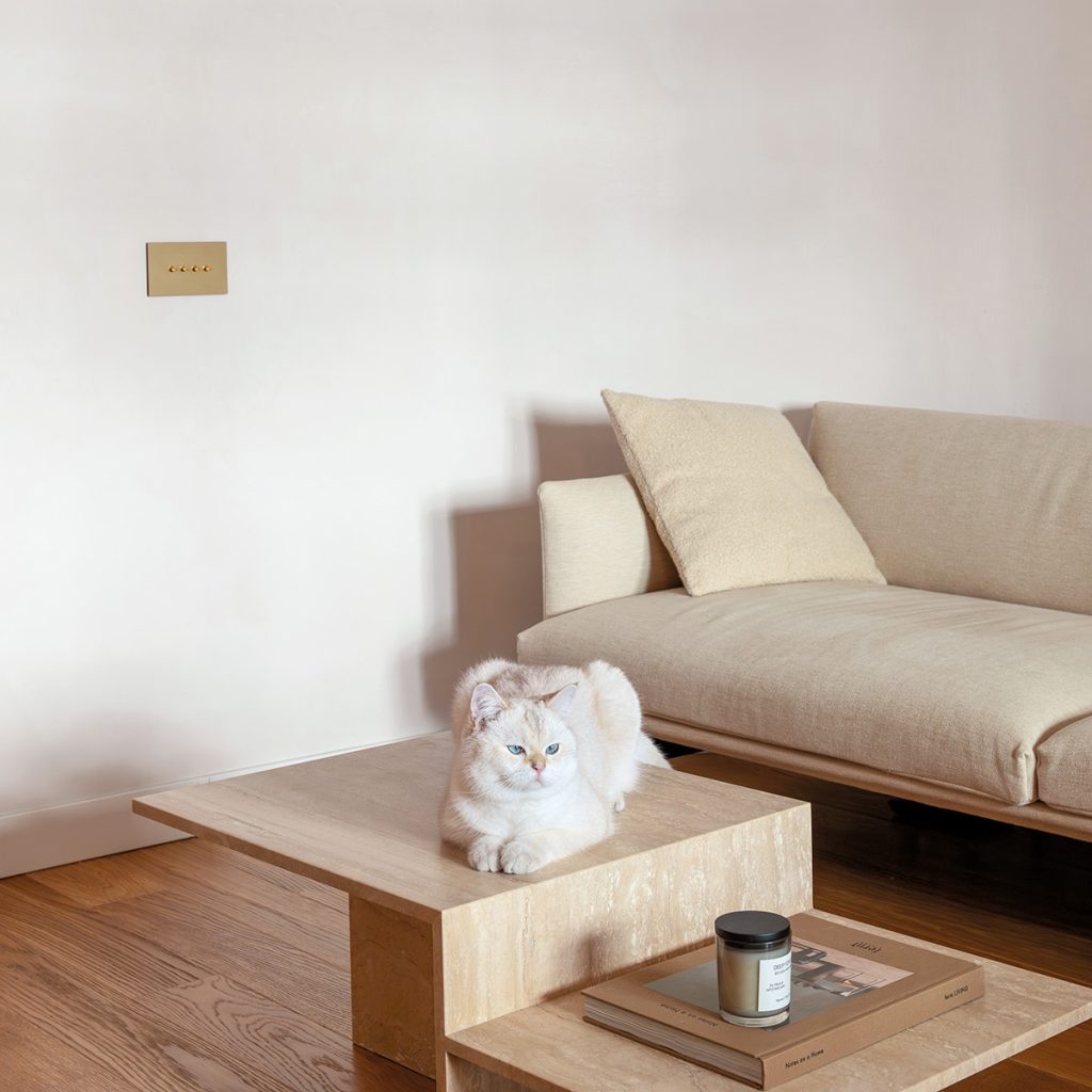 Apartament Kenshō: estetică, funcționalitate, bucurie