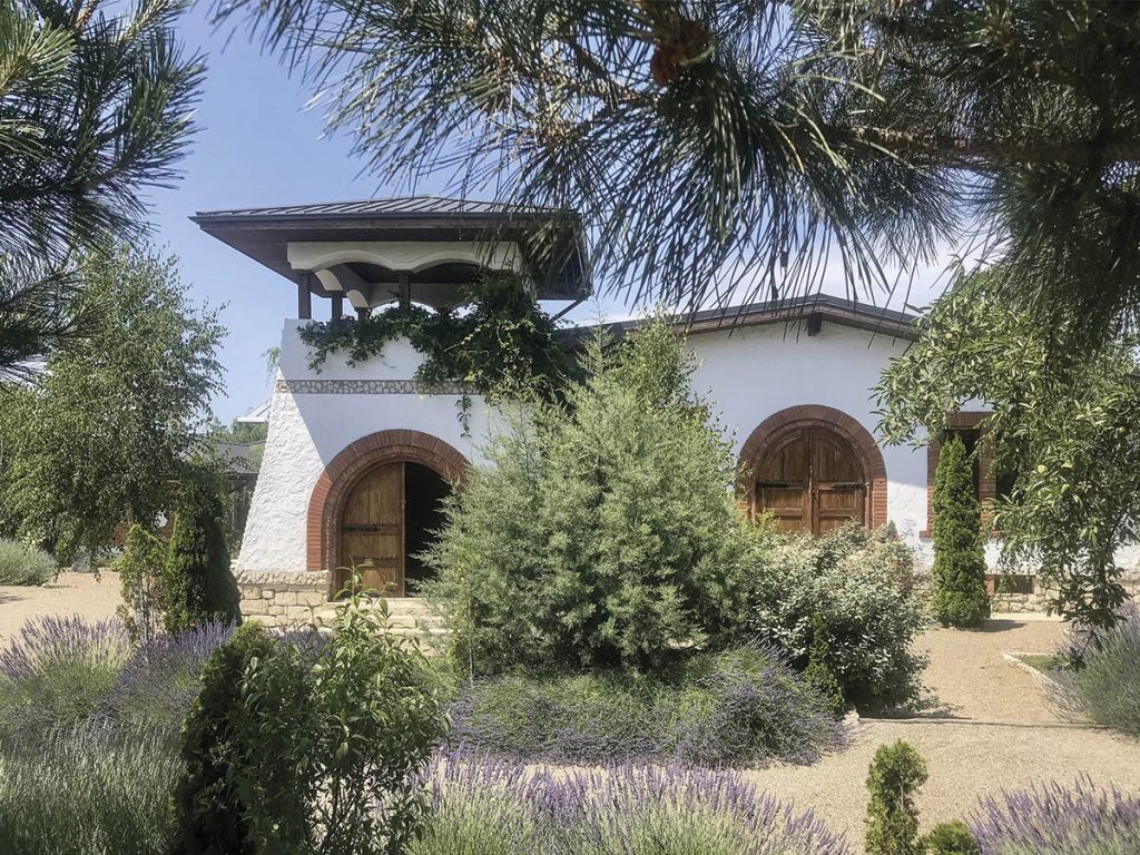 Spre amintiri memorabile cu vinurile Mierla Albă