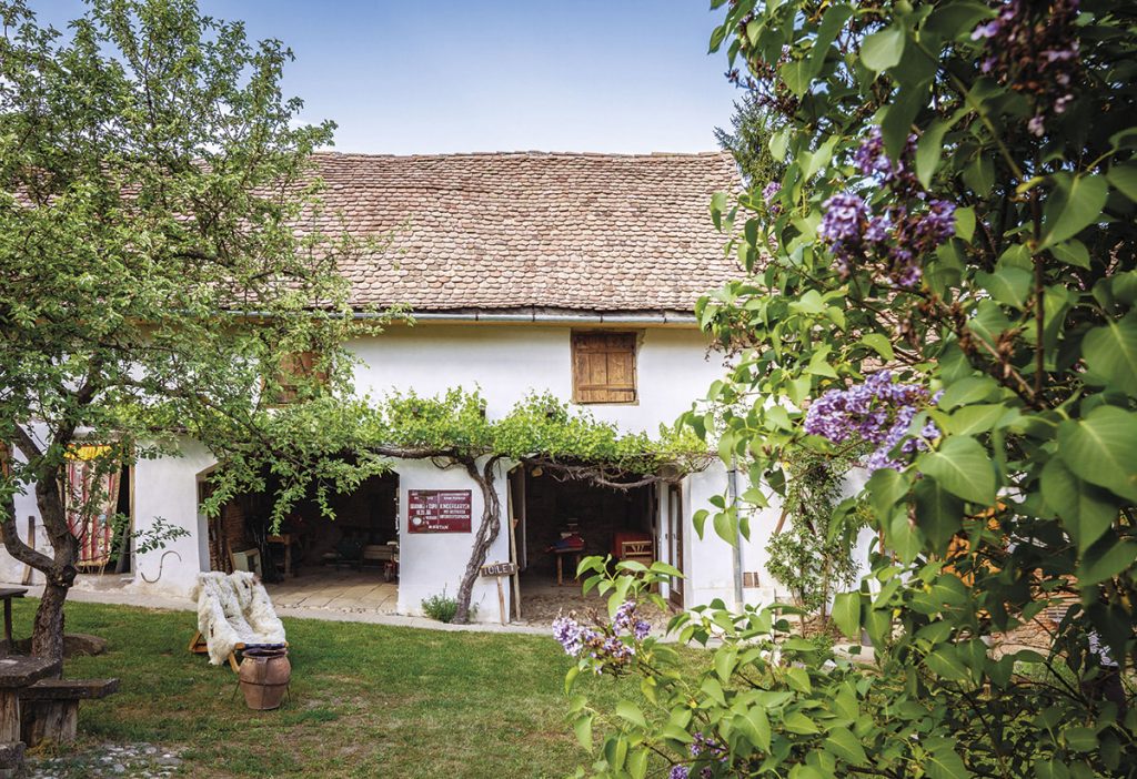 Casa Noah, Richiș, Sibiu