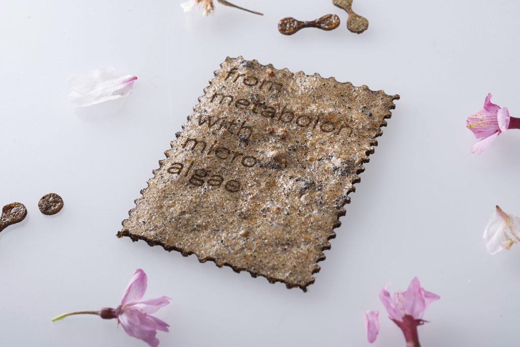 Nice To Seed You: nimic nu se pierde, totul se transformă