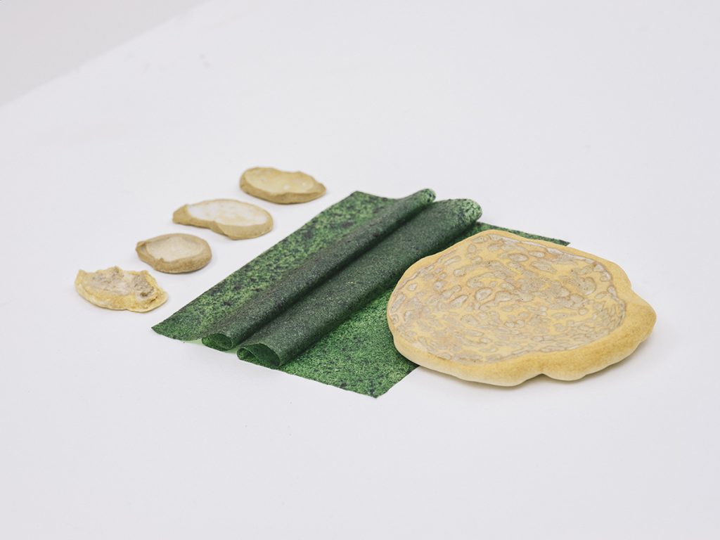 Shellware. Un nou tip de ceramică pe bază de cochilii de scoici