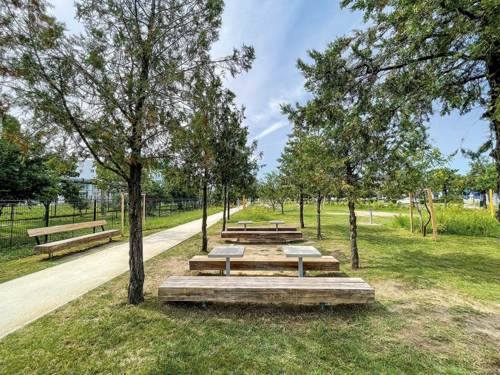 Concretețea unei grădini urbane, la Buzău