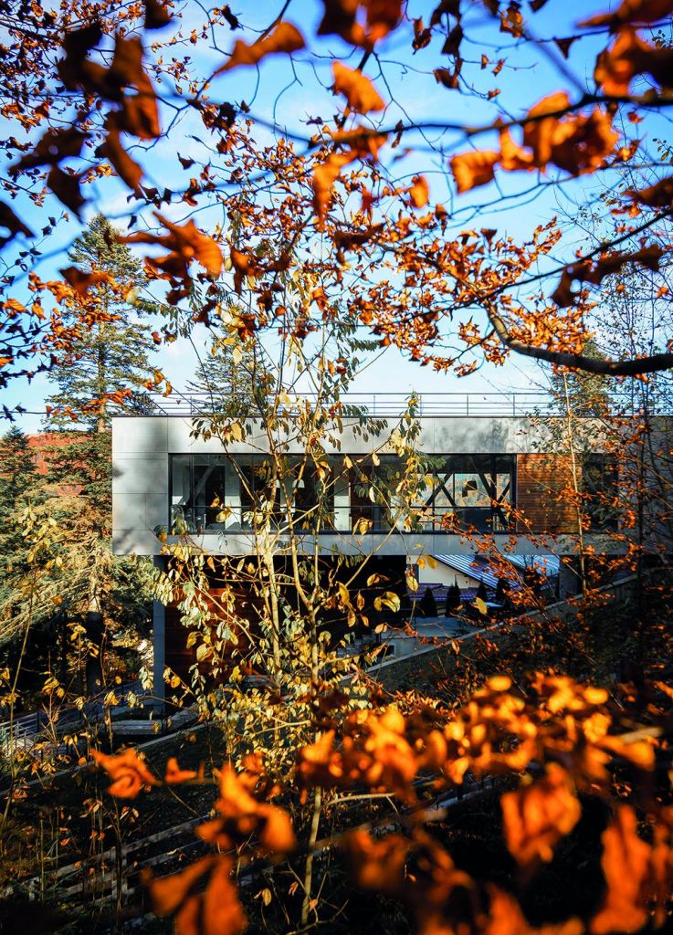 Alpine Charm – A Mountain Periscope Turned Towards the Landscape