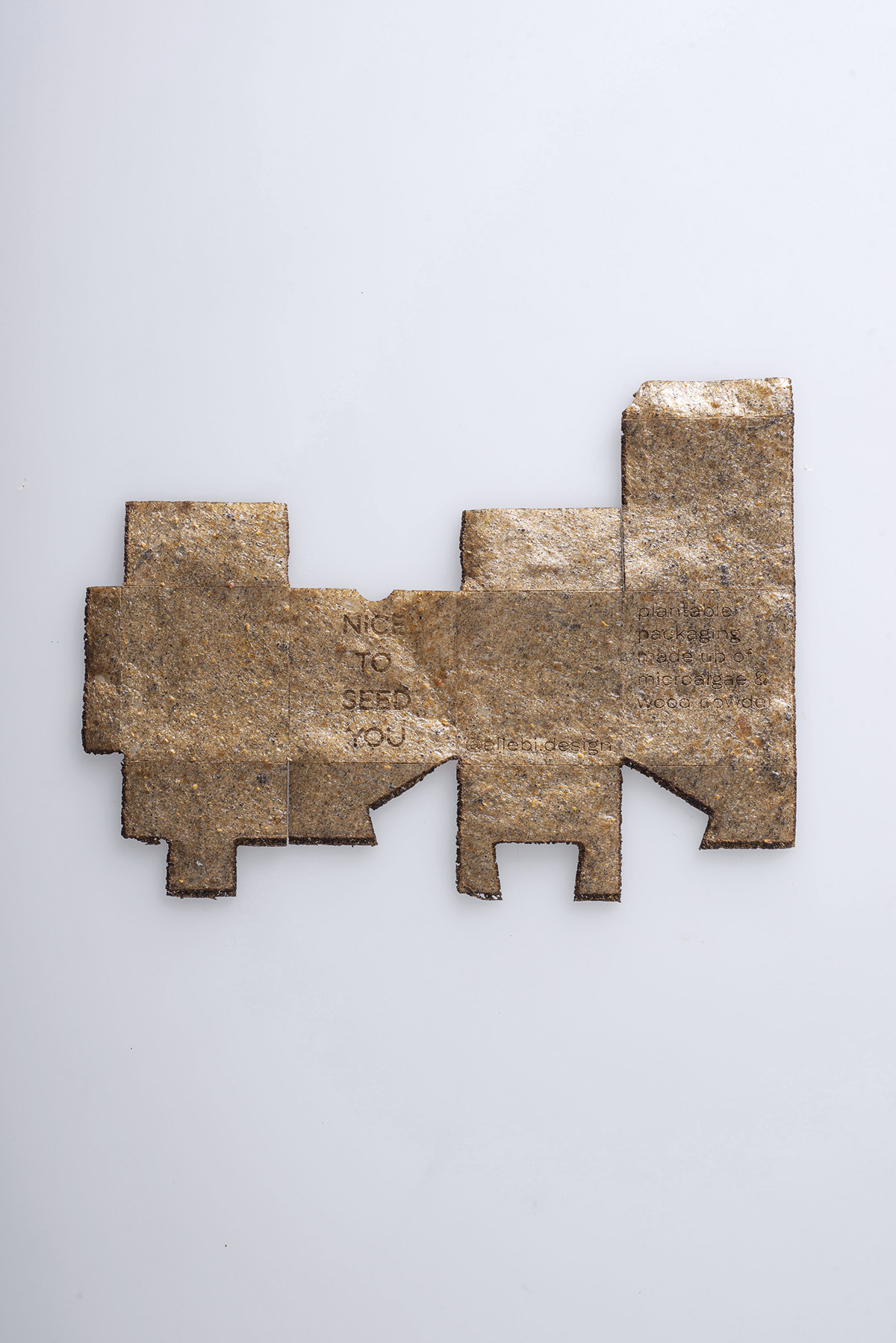 text2_Nice_to_seed_you_1_Laura_Bordini