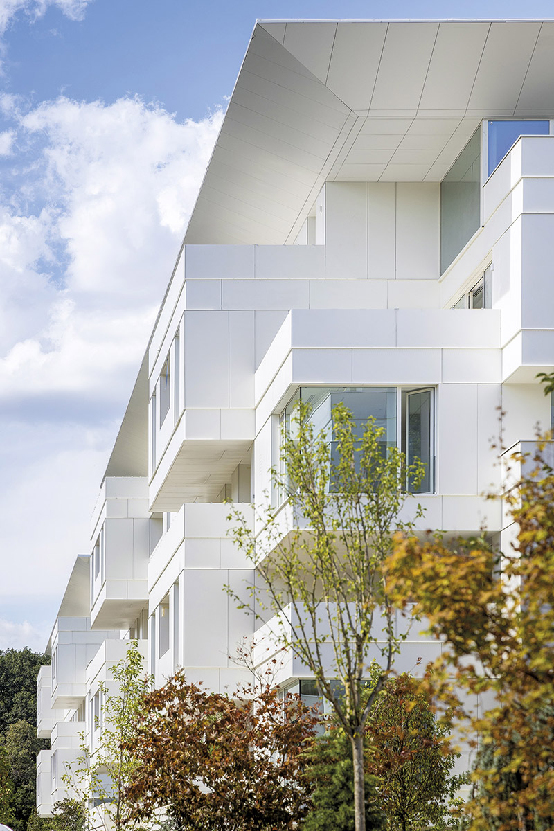 text2_STJ_005_IMG_9057_vladpatru